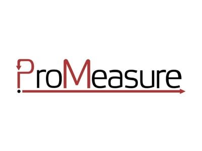 ProMeasure Consulting-logo